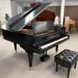 1907 Mason & Hamlin fancy Model A grand piano - Grand Pianos